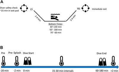 Efficacy of closed cell wet-suit at various depths and gas mixtures for thermoprotection during military training dives